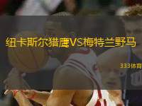 紐卡斯爾獵鷹VS梅特蘭野馬