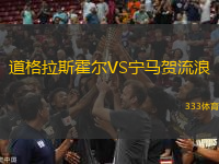 道格拉斯霍爾VS寧馬賀流浪