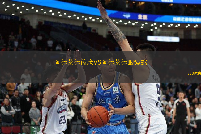 阿德萊德藍鷹VS阿德萊德眼鏡蛇