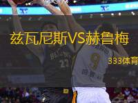 茲瓦尼斯VS赫魯梅