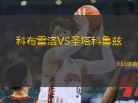 科布雷洛VS圣塔科魯茲