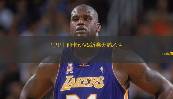 馬里士他卡沙VS新潟天鵝乙隊