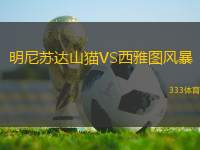 明尼蘇達山貓VS西雅圖風(fēng)暴