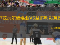 盧茲瓦爾迪維亞VS圣多明哥競技