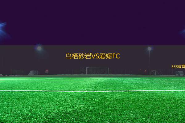 鳥棲砂巖VS愛媛FC