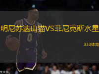 明尼蘇達(dá)山貓VS菲尼克斯水星