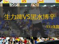 生力啤VS黑水博辛
