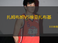 扎姆布朗VS維亞扎布基