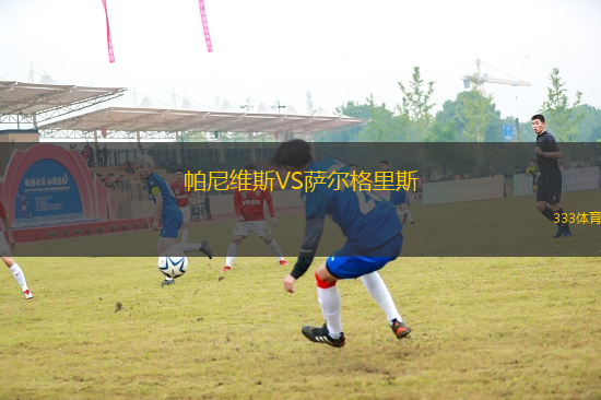 帕尼維斯VS薩爾格里斯