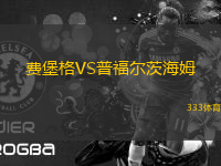 費堡格VS普福爾茨海姆