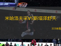 米哈洛夫采VS斯塔澤舒夫