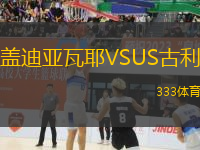 蓋迪亞瓦耶VSUS古利
