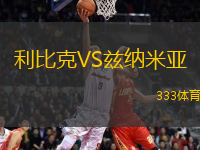 利比克VS茲納米亞