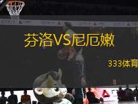 芬洛VS尼厄嫩